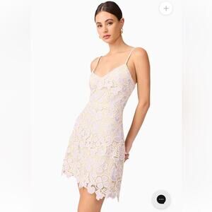 elliatt jasmine cream & purple crochet floral scalloped mini dress small NEW